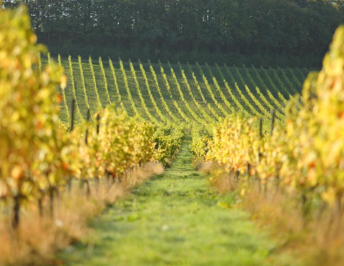 Denbies Vineyard Hotel Dorking Exteriér fotografie