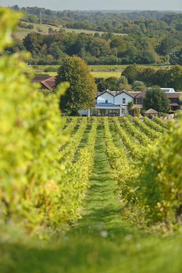 Denbies Vineyard Hotel Dorking Exteriér fotografie