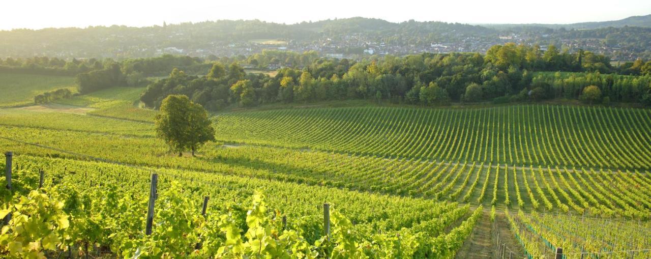 Denbies Vineyard Hotel Dorking Exteriér fotografie