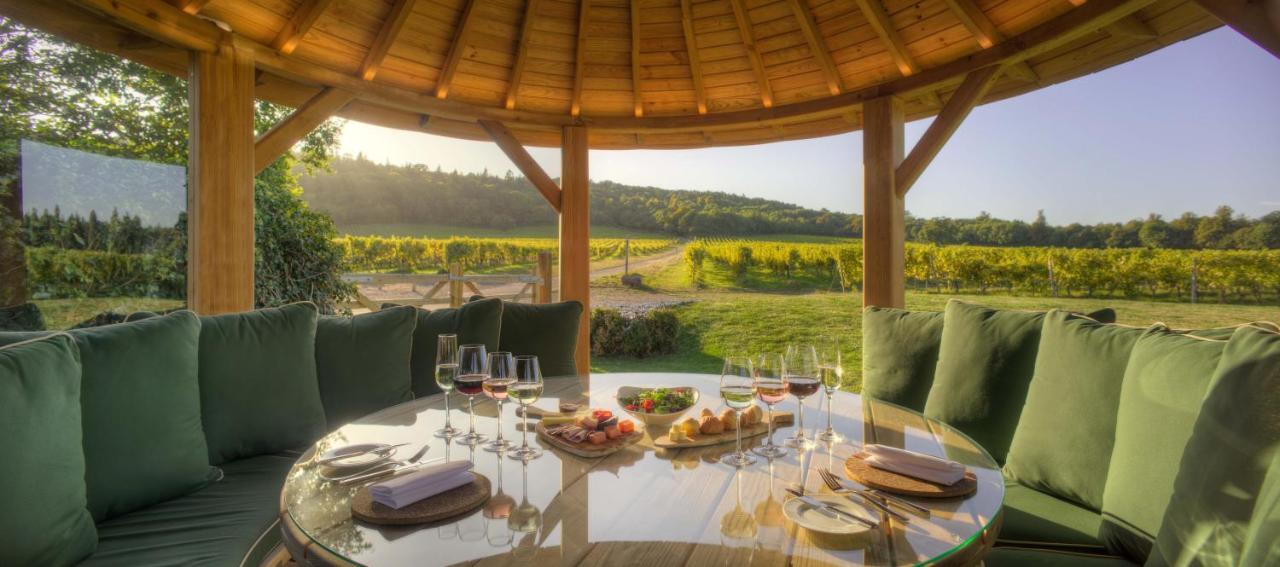 Denbies Vineyard Hotel Dorking Exteriér fotografie