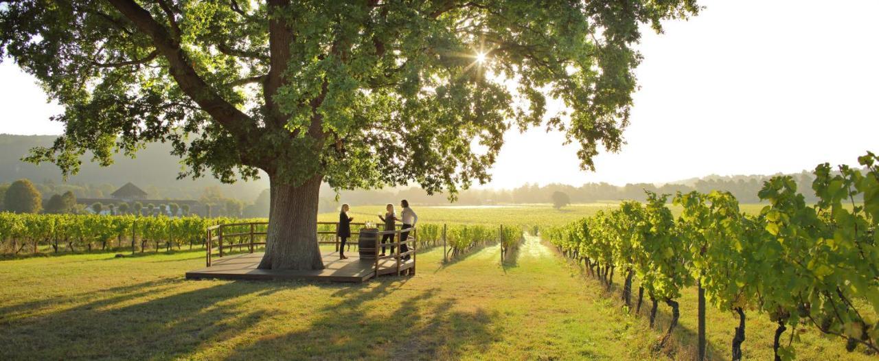 Denbies Vineyard Hotel Dorking Exteriér fotografie
