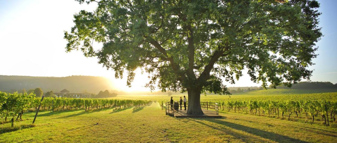 Denbies Vineyard Hotel Dorking Exteriér fotografie