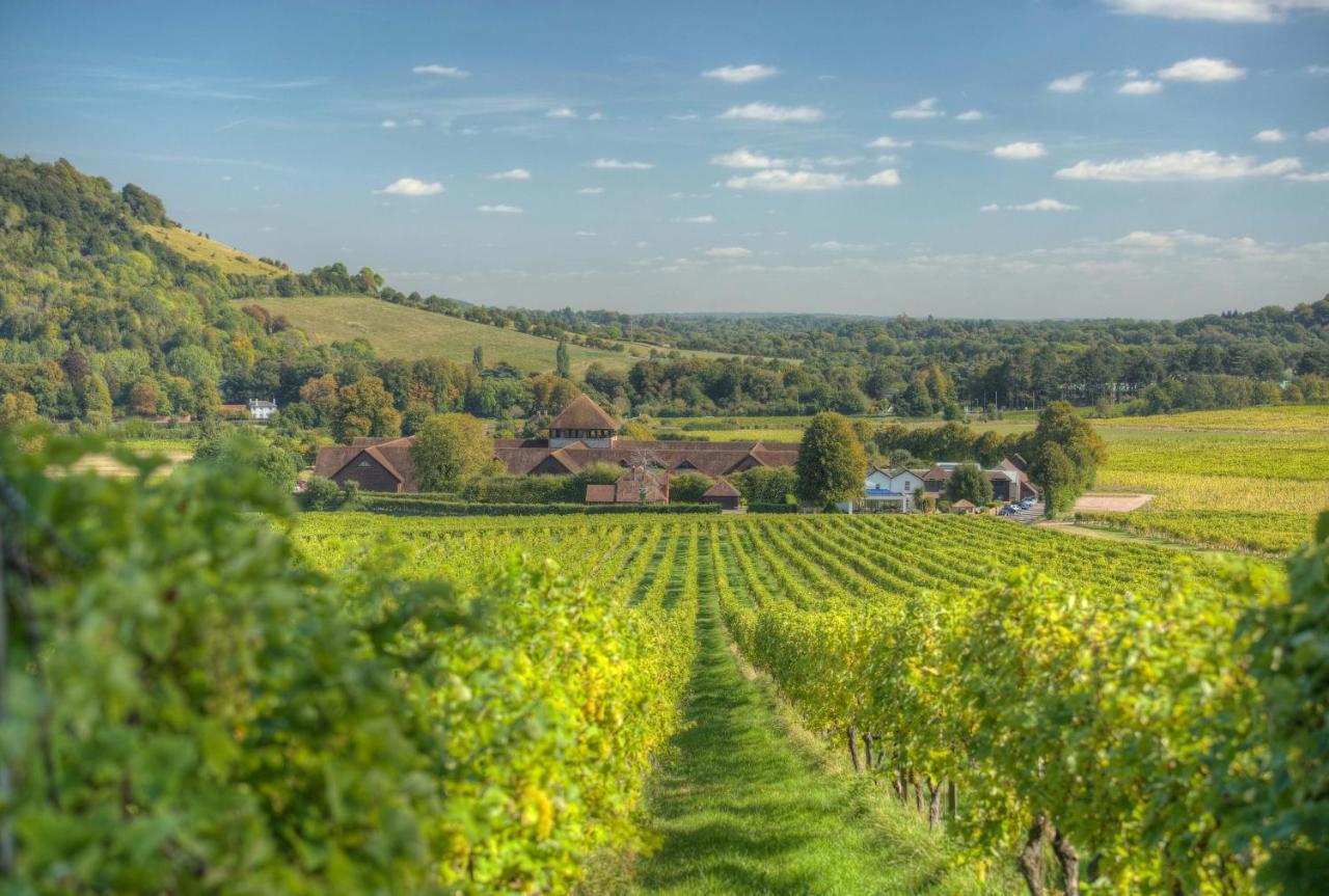 Denbies Vineyard Hotel Dorking Exteriér fotografie